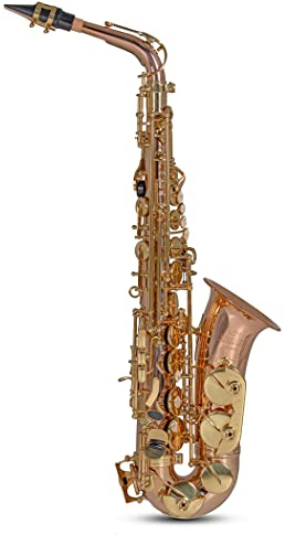 Roy Benson Eb-Alt Saxophon AS-202G (Luxuriöser Bronze-Korpus, lackierte Messingklappen, hoch F#-Klappe, H/B-Wippe, Premium-Mundstück, leichtes Rechtecketui, praktische Rucksackfunktion)