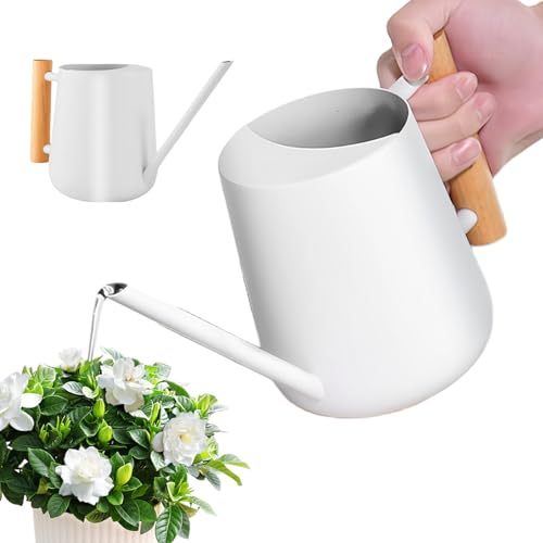 LEKEFETO Klein Weiß Gießkanne Zimmerpflanzen: 1L Edelstahl Indoor Gießkanne mit Langer Auslauf und komfortablem Holzgriff, Gartengießkanne für Sukkulenten, Topfpflanzen, Blumen