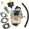 Vergaser-Set für Einhell GC-PM 46/1 S, GC-PM 51/2 S HW, HBM 46 R Rasenmäher Motorteile,mit Dichtung Benzinschluach Zündkerze,Silber