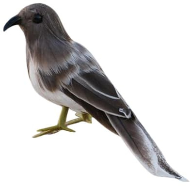 QUXVUIS Garten und Heimdekoration, realistische Vogelfigur, wunderschöne gefiederte Vögel, Requisite für Weihnachtsfeiern, realistische künstliche Vogelfigur für den Garten, präparierter Vogel