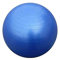 B4E Gym Ball Exercise Ball Hand Pump Included