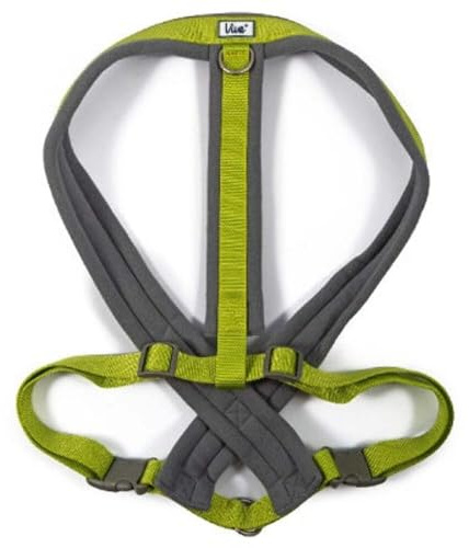Ancol Viva Hundegeschirr, gepolstert, Größe XXL, 97-130 cm, Limettengrün