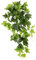 Flair Flower Efeuhänger Efeu Ranke Girlande Unechte Hängend Busch Hänger Pflanze Grünpflanze Hängepflanze Rankende Pflanzenampel Zimmerpflanze Kletterpflanze Efeuranke,ca. 80x28x26 cm