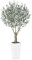 Fopamtri Artificial Olive Tree 210 cm Fake Plants with Lifelike Olive, Faux Silk Olive Plant with White Tall Planter UV Resistant Indoor Outdoor Home Balcony Garden Decor (1 Pack)