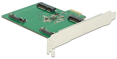 DeLOCK 89479 Interne Schnittstellenkarte und Adapter mSATA
