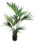 Leaf Árbol Artificial Grande, Seda, Palma Kentia de 130 cm
