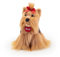 Trudi Yorkshire Willy Idealer Plüsch als Geschenk für Geburtstage, Weihnachten und andere Anlässe | 24x21x16cm Grosse S | Klassische Hunde | Modell 22338