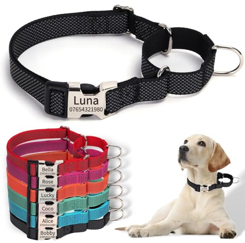 SEOUGEE Martingale Hundehalsband, personalisierbar, reflektierendes Nylon, ausbruchsicher, Anti-Zieh-Hundehalsbänder mit individuell gravierter Metallschnalle, Spaziergangstraining, täglicher Gebrauch