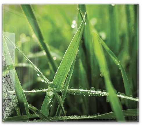 Herdabdeckplatte 60x52 cm einteilig – Gras mit Tautropfen, frische Natur, Morgenstimmung, grüne Wiese | ESG Glas Ceranfeldabdeckung, Schneidebrett, Abdeckplatte, Herd, Induktion, Küche