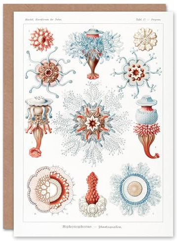 Artery8 Ernst Haeckel Art Card Siphonophorae Marine Life Illustration