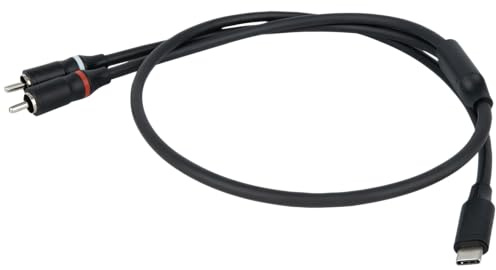 DAP FL110 - USB-C to 2 RCA Male 1,5m