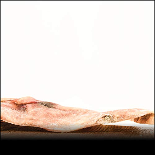 Rinderkopfhautplatten - 1000g | Platten ca.20x20cm | Langer Kauspaß für Hunde | Rinderkopfhaut aus Deutschland | von George & Bobs