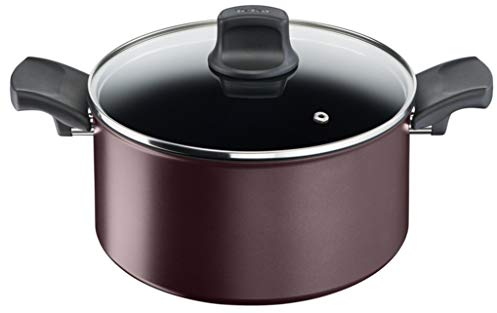 Tefal Character C6874602 Cacerola 24 cm Antiadherente Apta para Todo Tipo de cocinas e inducción, Titanio Extra Duradero