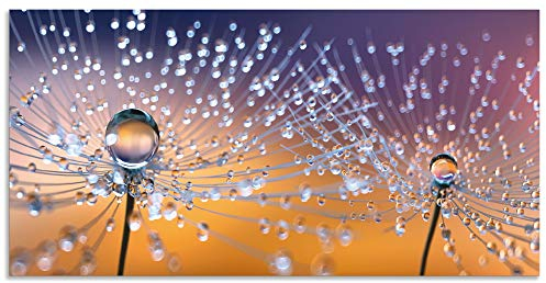ARTland Wanddeko Wandbild Alu Verbundplatte für Innen & Outdoor Bild 100x50 cm Querformat Pusteblume Blumen Natur Pflanzen Abstrakt Modern Orange U1TA