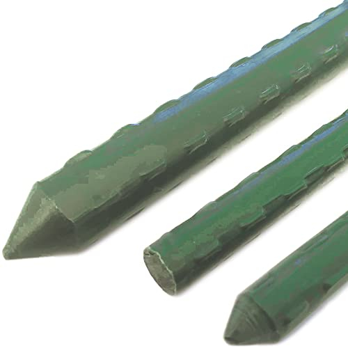 TENAX Steel Up 210 cm Verde, Tutore in Acciaio plastificato per Il Sostegno di Piante, Fiori e ortaggi