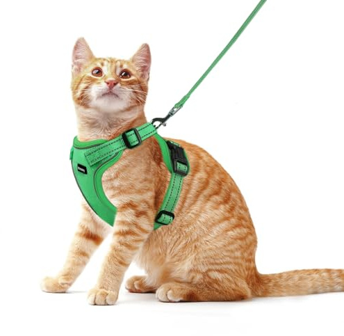 Rttochfy Katzengeschirr und Leine, verstellbare und reflektierende Katzenweste, ausbruchsicheres Kätzchengeschirr, einfach anzuziehen, mit 3 Schnallen, für Spaziergänge und Reisen (Grün, M)