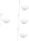 Beavorty 4pcs Chemical Peel Bowl Set Facial Kit Brushes Mixing Bowl Beauty Tools