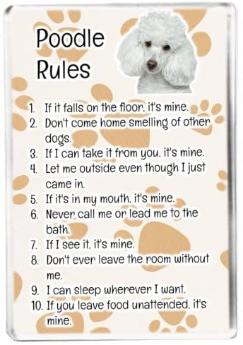 Poodle Rules - Funny Pet Owner Quote - Dog Mum/Dad - Fridge Magnet - Novelty Gift