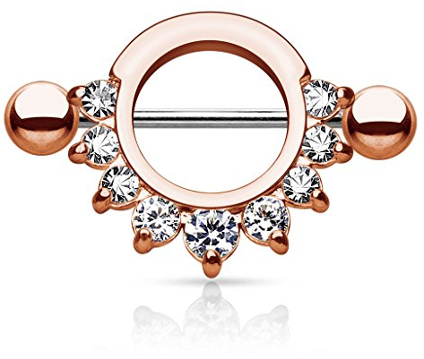 Autiga Brustwarzen Piercing Nippelpiercing Brustpiercing Nipple Shield Schild Zirkonia Kristalle rosègold