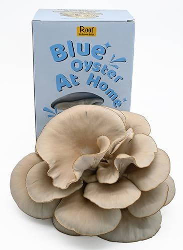 Root Mushroom Farm Blaues Austernpilz-Anzuchtset, 1,5 kg, mehrere Spülungen, alles im Lieferumfang enthalten