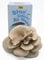 Root Mushroom Farm Blaues Austernpilz-Anzuchtset, 1,5 kg, mehrere Spülungen, alles im Lieferumfang enthalten
