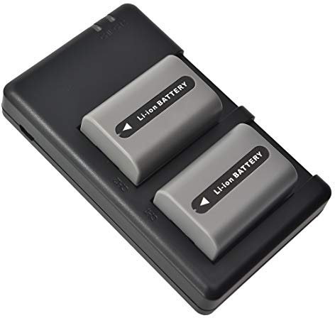 DSTE Batterie de Remplacement en 2 pièces NP-FP50 Batterie + Double Chargeur USB kompatibel mit Sony DCR-SR50 DCR-SR60 DCR-SR70 DCR-SR80 DCR-SR90 DCR-SR100 HDR-HC3