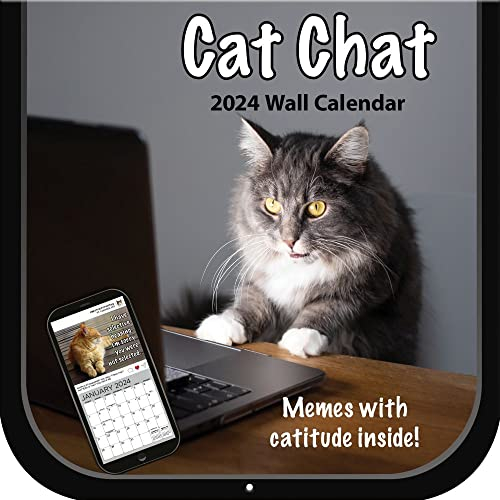 Turner 24998940092 Foto-Wandkalender mit Katzenmotiv