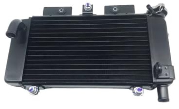 Moto pour radiateur Liquide de Refroidissement antigel pour réservoir, Accessoires pour Moto CF pour 250SR, pour Assemblage radiateur