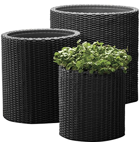 Keter - Set di 3 vasi rotondi per interno o esterno in stile rattan, colore: antracite