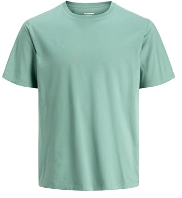 JACK & JONES Herren Jjeorganic Basic Tee Ss O-Neck Noos T-Shirt (1er Pack)