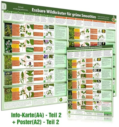 [2er Set] Essbare Wildkräuter für Grüne Smoothies Teil 2 - Erkennungskarte (A4) & Wandposter (A2) – Natürliche Frische erleben - Erkunde, sammle und ... selber sammeln und mit gutem Gefühl genießen)