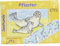 KINDERPFLASTER Seehunde Briefchen 10 St