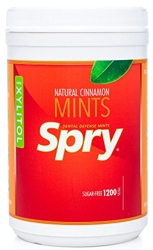 Spry Xylitol Zimt-Mints – Zuckerfreies Bonbon zur Unterstützung der Mundgesundheit, regt Speichelproduktion an, bekämpft Mundgeruch, Non-GMO, glutenfrei, 1200 Count (Pack of 1)