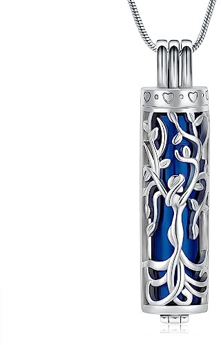 VCCWYQK Cremation Jewelry Urn Necklace for Ashes Pendant with Hollow Glass Vial Cylinder Cremation Keepsake Memorial Lockets Ashes Holder for Women Men Pet (H-6)