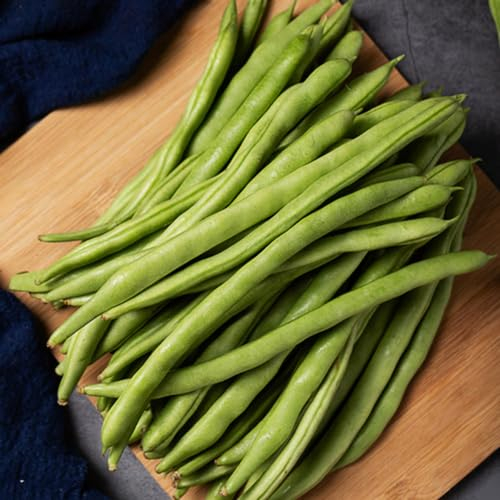 30 pcs kidneybohnen samen gewächshaus balkon pflanzensamen feuerbohnen samen pflanzen garten gemüsesamen alte sorten stauden garten deko exotische samen bio saatgut geschenk kräutersamen