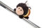 MagNICI Hummel Beelinda 10cm - gelb - Kuscheltier mit Magnet, Plüschtier für Kühlschrank, Tafel, Metall & vieles mehr, tolle Geschenkidee | 61623