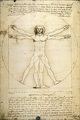 1art1 Leonardo Da Vinci Poster Vitruvianischer Mensch VI Plakat | Bild 91x61 cm