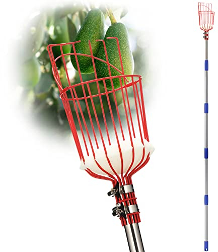 DonSail Poste recogedor de frutas con cesta telescópica, poste ajustable de naranja cítrica con cesta de mango largo de 35 a 150 pulgadas, mango de mango, aguacate, higo bellota, pera, pomelo, cereza,