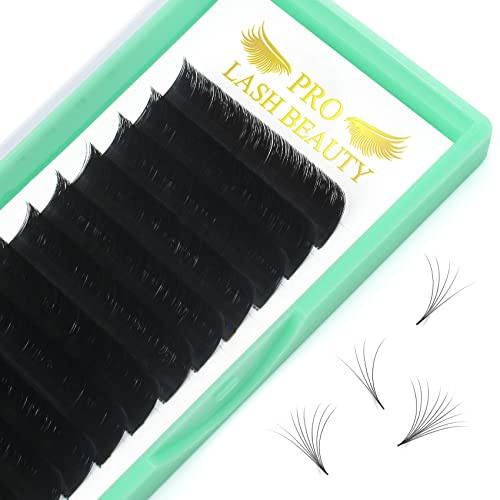 Easy Fan Lashes C-0.10-11 Eyelash Extensions C Curl Easy Fan Russian Lash(C-0.10,11 mm)