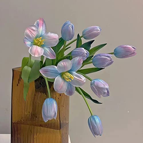 6 Stück tulpenzwiebeln winterhart mehrjährig lila tulpen zwiebeln - Seltene Pflanzen serie - kleine geschenke hochbeett balkon deko blumenwiese deko büro zwiebel winterfeste zimmerbonsai bonsai