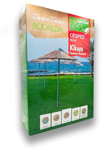 Césped Kikuyu 1 KG - Semillas de Césped Grama de Alta Resistencia y Bajo Mantenimiento - Grama Gruesa - Rendimiento hasta 150 m2 - Resistente a sequía y salinidad - Rocalba Semillas