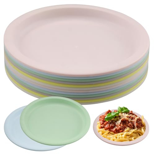 duisoad 12 Pezzi Piatti in Plastica Piatti Leggeri Infrangibili Piattis Plastica Rigida per Insalate, Frutta, Pasta e Snack, Riutilizzabili