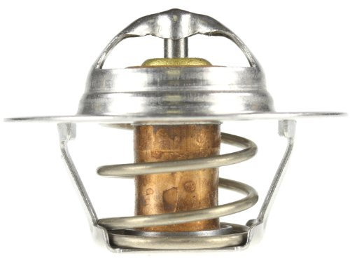 Motorad 300 – 160 termostato