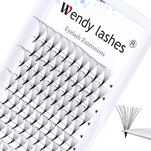 Volumen Wimpern Extensions 12D Fertige Fächer Wimpern Wimpernfächer Vorgefächerte Wimpern 0.07 mix 8-14mm D Curl Seiden Wimpern Volumen Wimpern Fertige Fächer Wimpernverlängerung(12D-0.07-D-8-14)