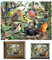 3D LiveLife Linsenförmige Wandkunst Drucke - Heimat der Natur von Deluxebase. Ungerahmtes 3D Vogel Poster. Perfekter Wandfüller. Original kunstwerk lizenziert von bekannt künstler, David Penfound