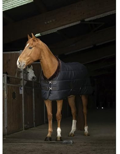 Stalldecke Teddy EquiTheme schwarz/braun 125cm