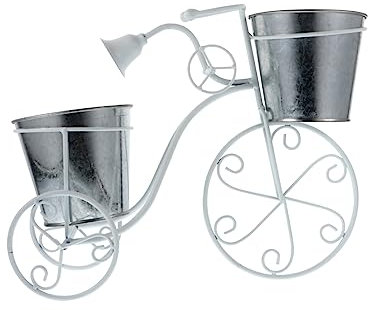 Cabilock 1 Pc Support à Bicyclette Planteur De Vélo Support De Support De Plante De Vélo Jardinière De Vélo De Jardin Support De Chariot De Jardin Porte-vélo Cactus Le Fer Intérieur Blanche
