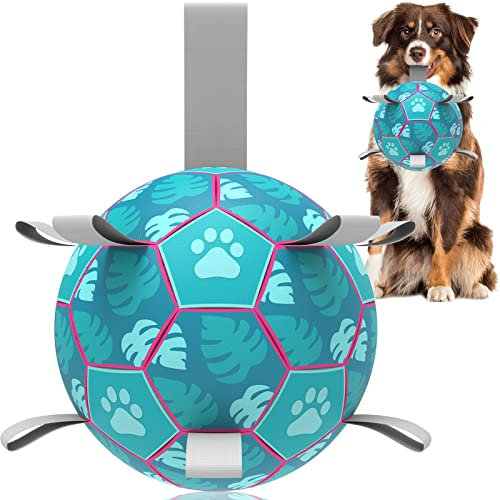 HETOO Hundeball Hundespielzeug Ball mit Griff für Hund Interaktives Schleppen von Krieg Wasser Hundebälle Spielzeug Geburtstagsgeschenk für Mittel/Große Hunde (8 Zoll Hawaii Blau)