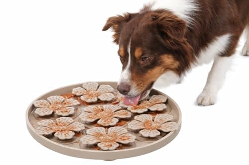 hundenapf - katzennapf - leckmatte Hund - Fleur rund - Taupe - Ø20 cm - silikon - mit saugnäpfen - für nassfutter und Snacks
