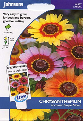 Johnsons Seeds - Pictorial Pack - Flower - Chrysanthemum Tricolour Single Mixed - 400 Seeds